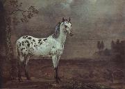 POTTER, Paulus A geschecktes horse oil painting picture wholesale